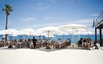 Konferensresa till Sydafrika