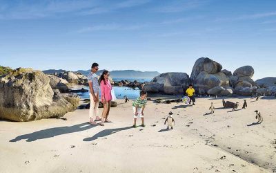 Resa till Kapstaden och Sydafrika med barn