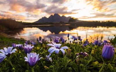 Sjö i Franschoek, vattenbrist i Kapstaden