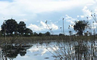 Vattenbrist i Kapsten