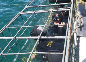 Matilda dyker med vithajar i Sydafrika