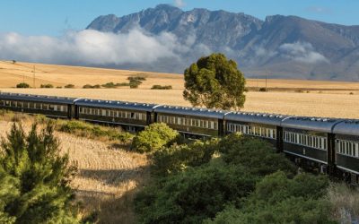 Världens Lyxigaste Tåg - Rovos Rail