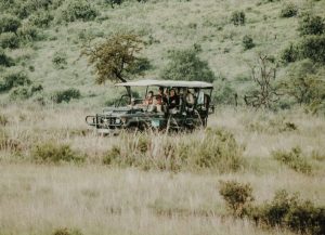 Safari i Sydafrika med guide i safarifordon
