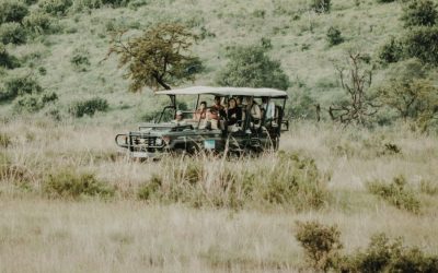 Safari i Sydafrika med guide i safarifordon