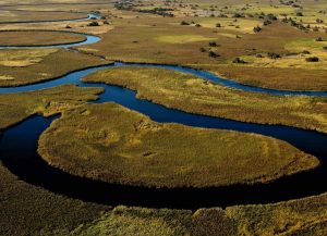 Flygfoto över Okavangodeltat i Botswana under en safariresa